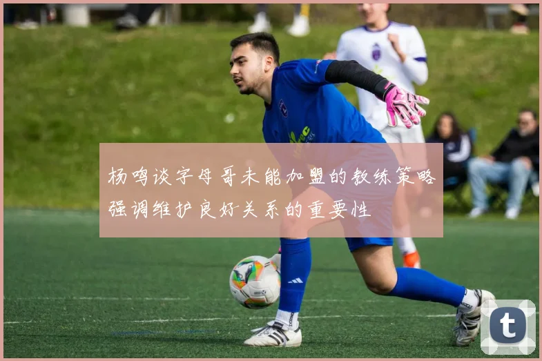 杨鸣谈字母哥未能加盟的教练策略强调维护良好关系的重要性